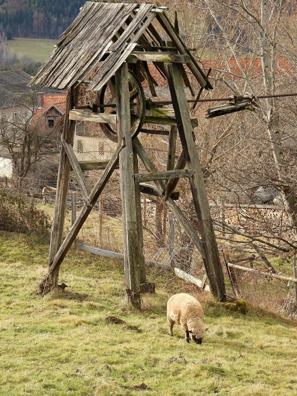 Anger Bienenweg hoch (4)