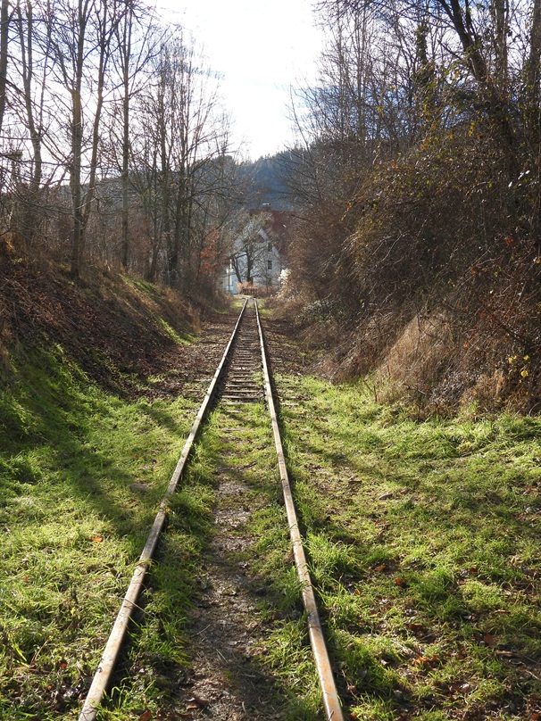 Anger Bienenweg hoch (8)