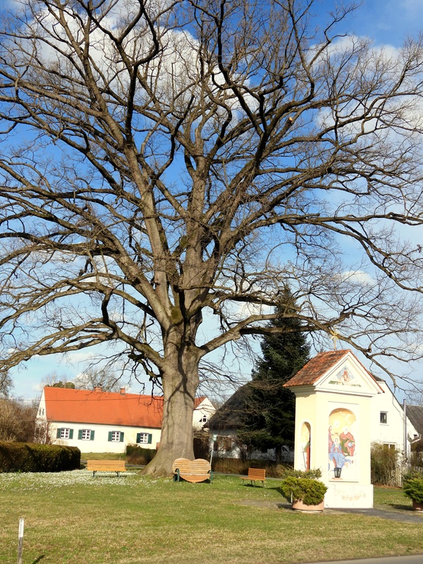 Bad Radkersburg hoch (10)