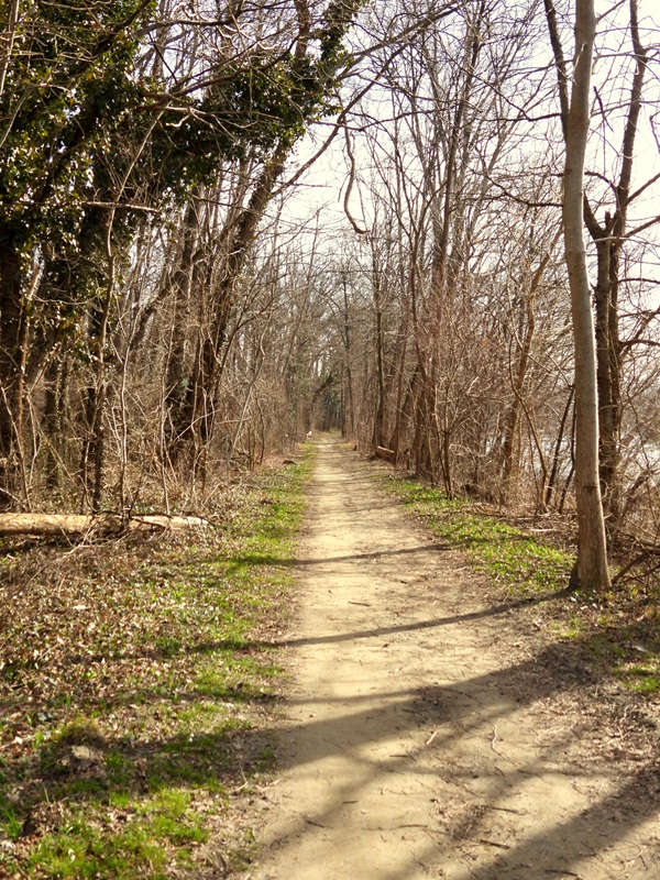 Bad Radkersburg hoch (4)