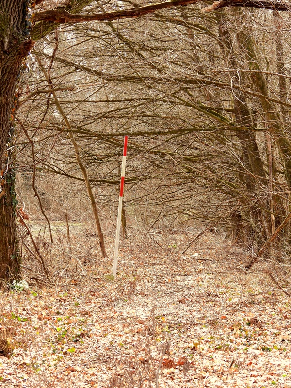 Bad Radkersburg hoch (5)