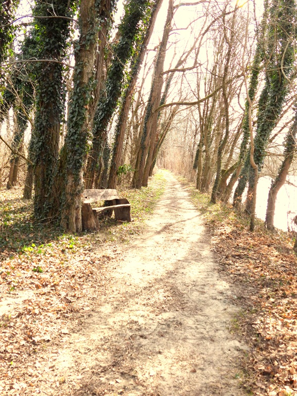 Bad Radkersburg hoch (6)