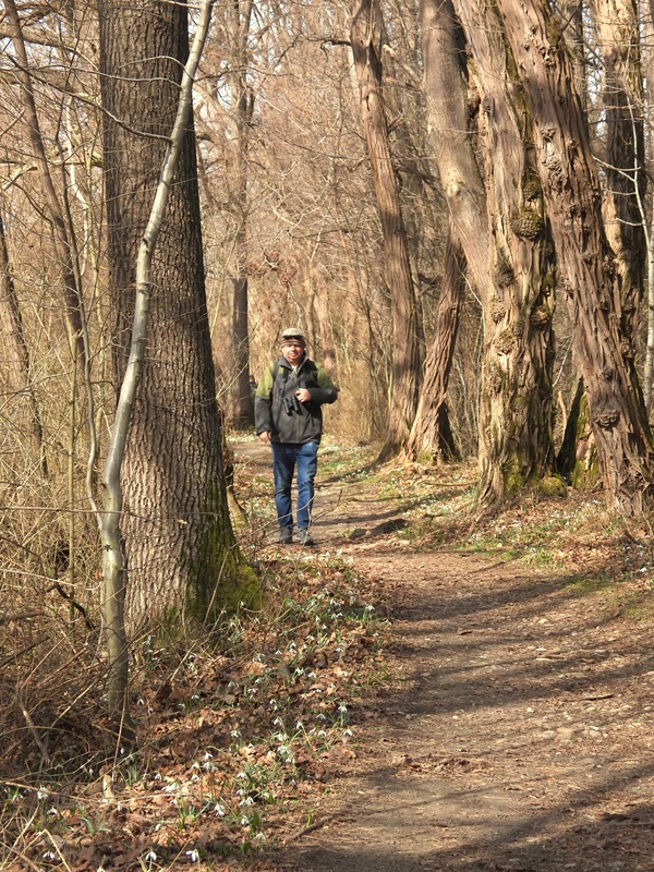 Bad Radkersburg hoch (7)
