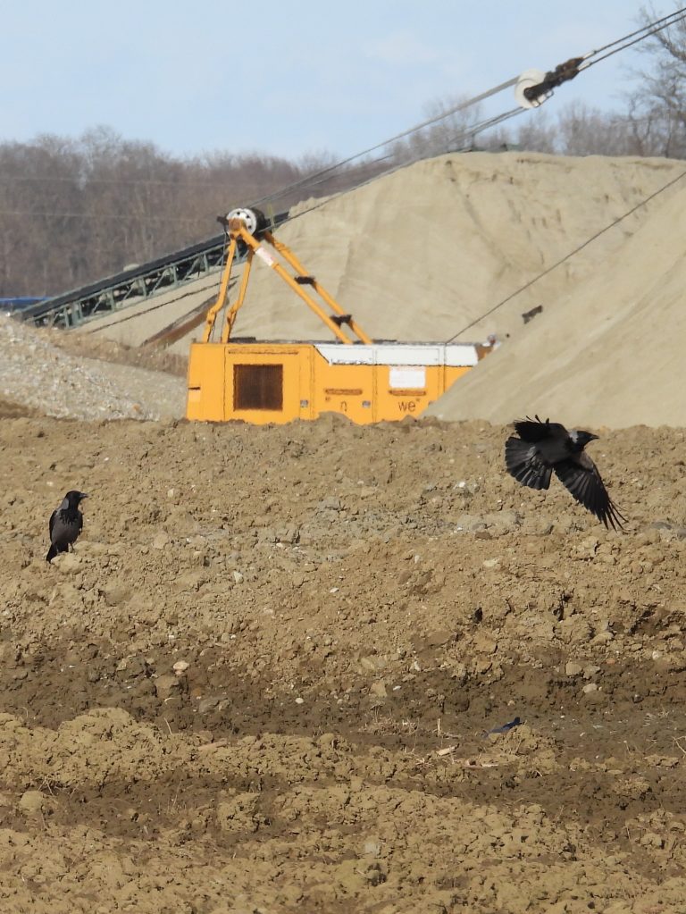 Bad Radkersburg hoch (9)