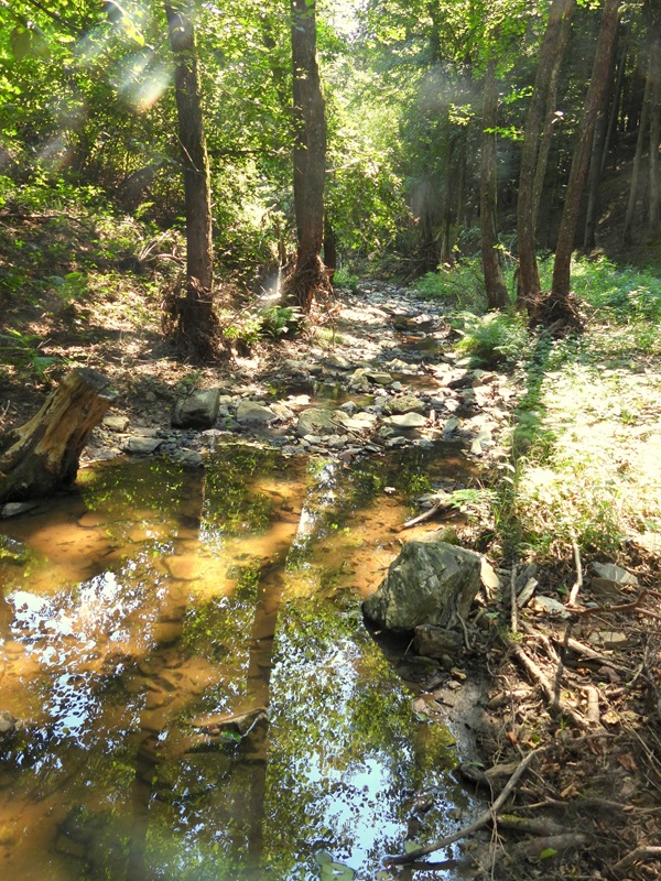 Bad Tatzmannsdorf hoch (1)