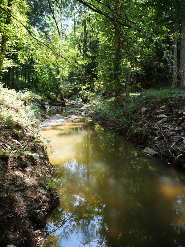 Bad Tatzmannsdorf hoch (3)