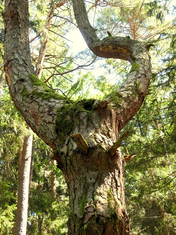 Bad Tatzmannsdorf hoch (6)