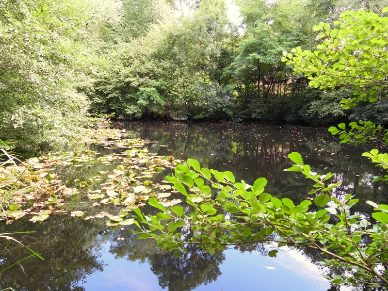 Bad Tatzmannsdorf quer (15)