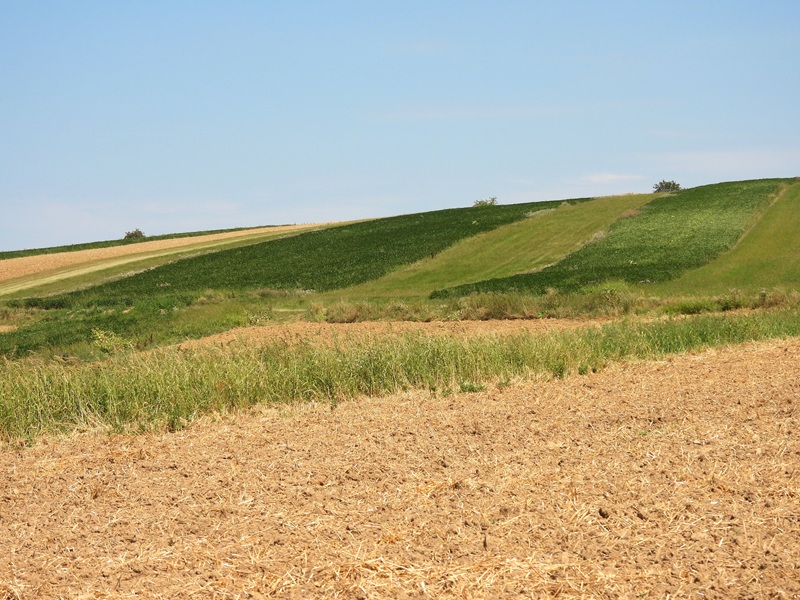 Bad Tatzmannsdorf quer (2)