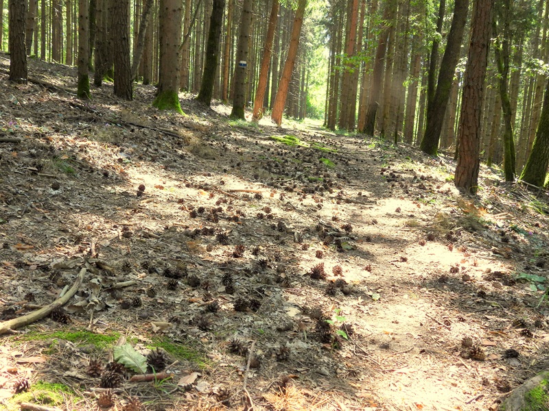 Bad Tatzmannsdorf quer (3)