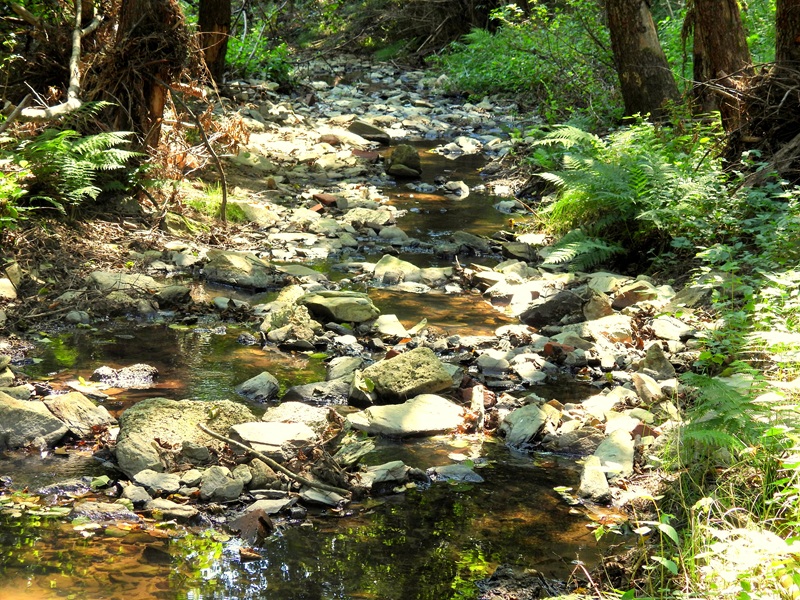 Bad Tatzmannsdorf quer (4)