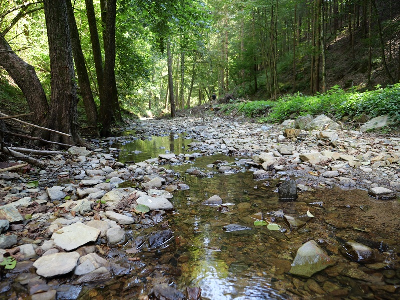 Bad Tatzmannsdorf quer (7)