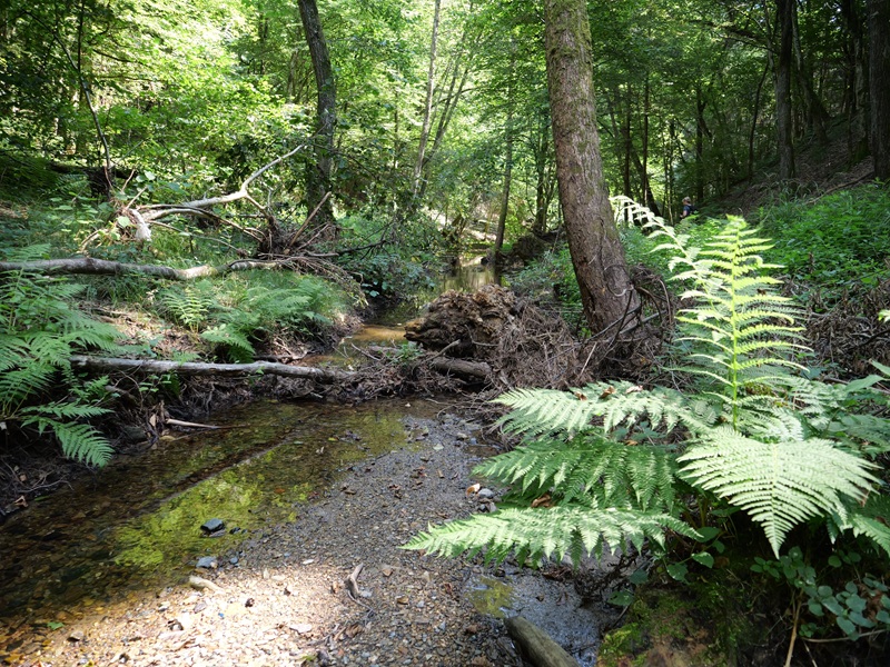 Bad Tatzmannsdorf quer (8)