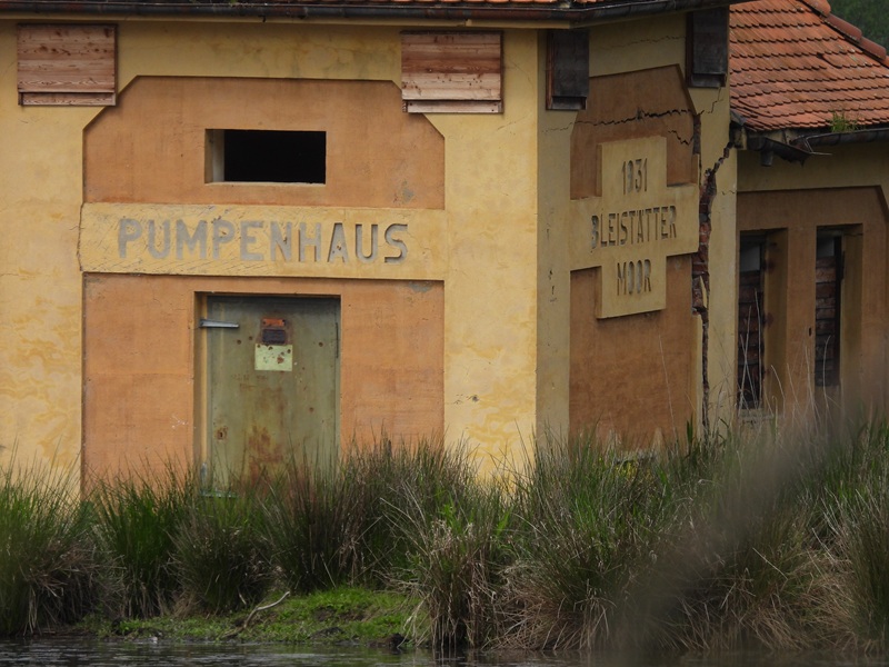 Bleistätter Moor quer (3)