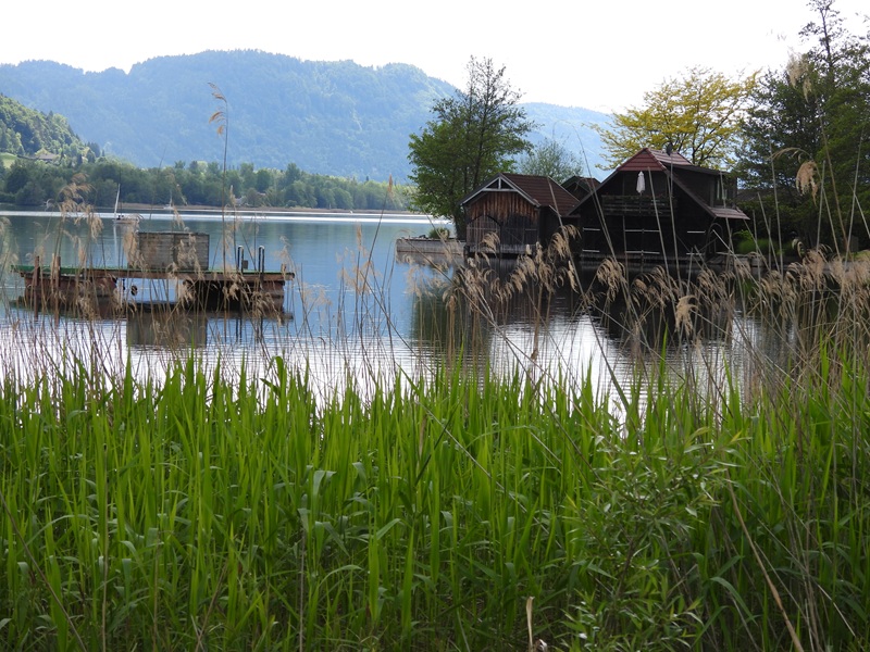 Bleistätter Moor quer (42)