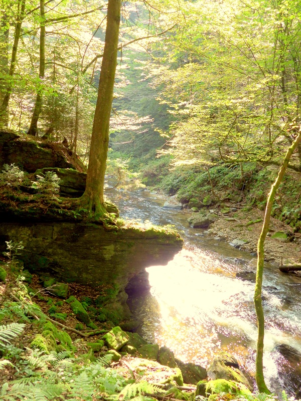 Deutschlandsberger Klause hoch (1)