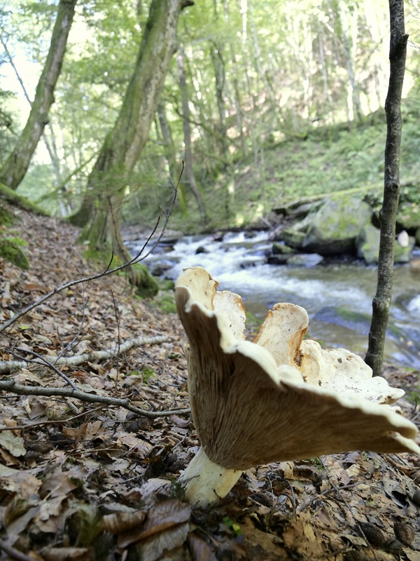 Deutschlandsberger Klause hoch (4)