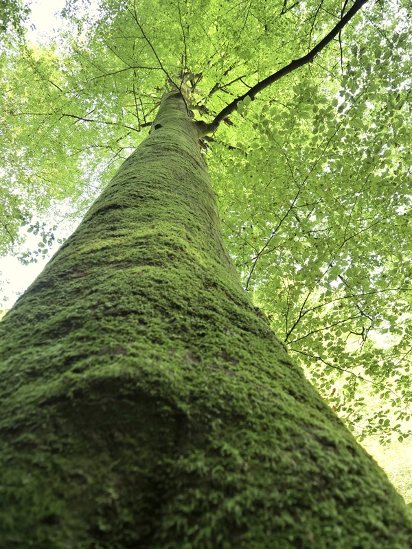 Deutschlandsberger Klause hoch (5)