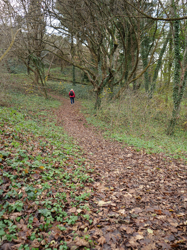 Festungsweg hoch (3)