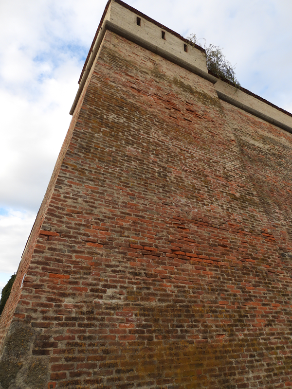 Festungsweg hoch (6)