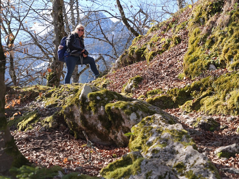 Finkenstein quer (10)