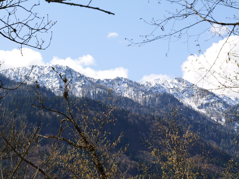 Finkenstein quer (17)