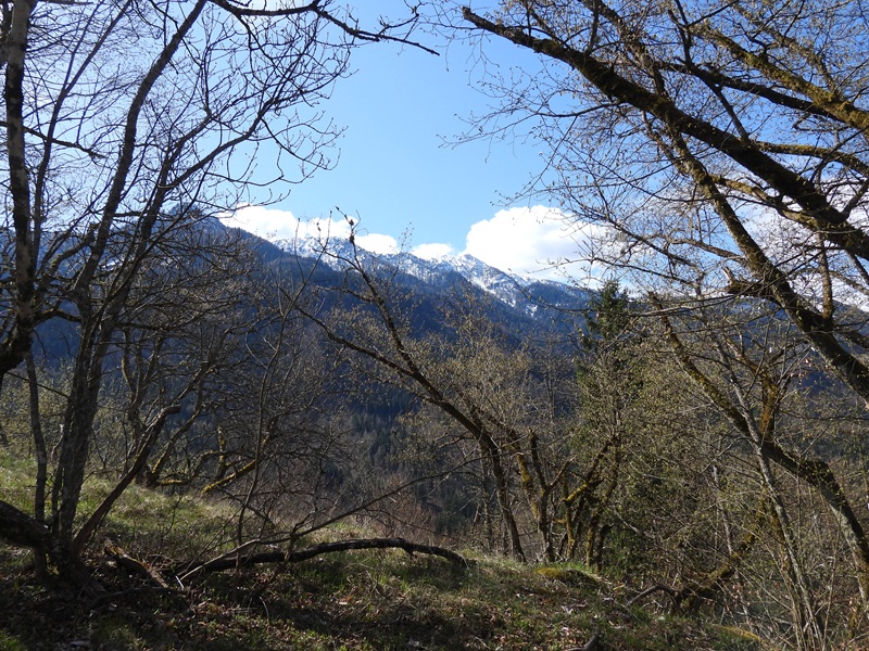 Finkenstein quer (30)