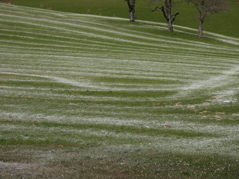 Finkenstein quer (40)