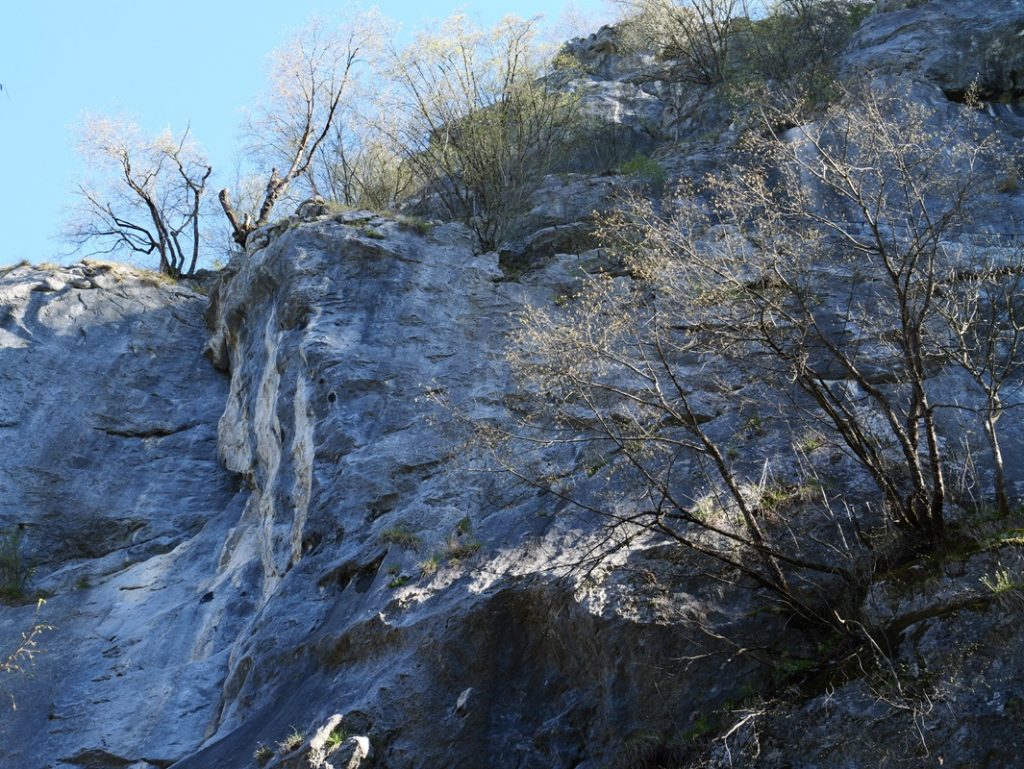 Finkenstein quer (7)