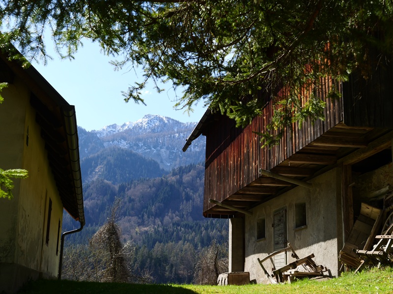 Finkenstein quer (9)