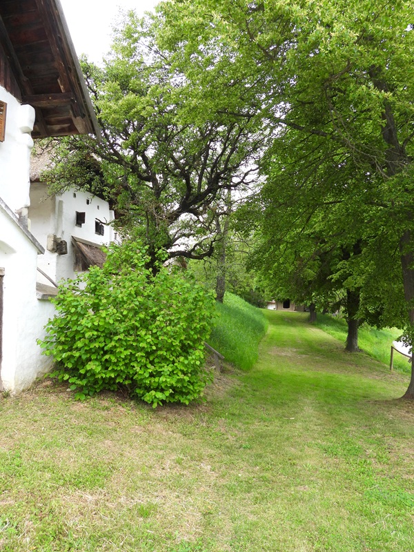 Gerersdorf hoch (12)