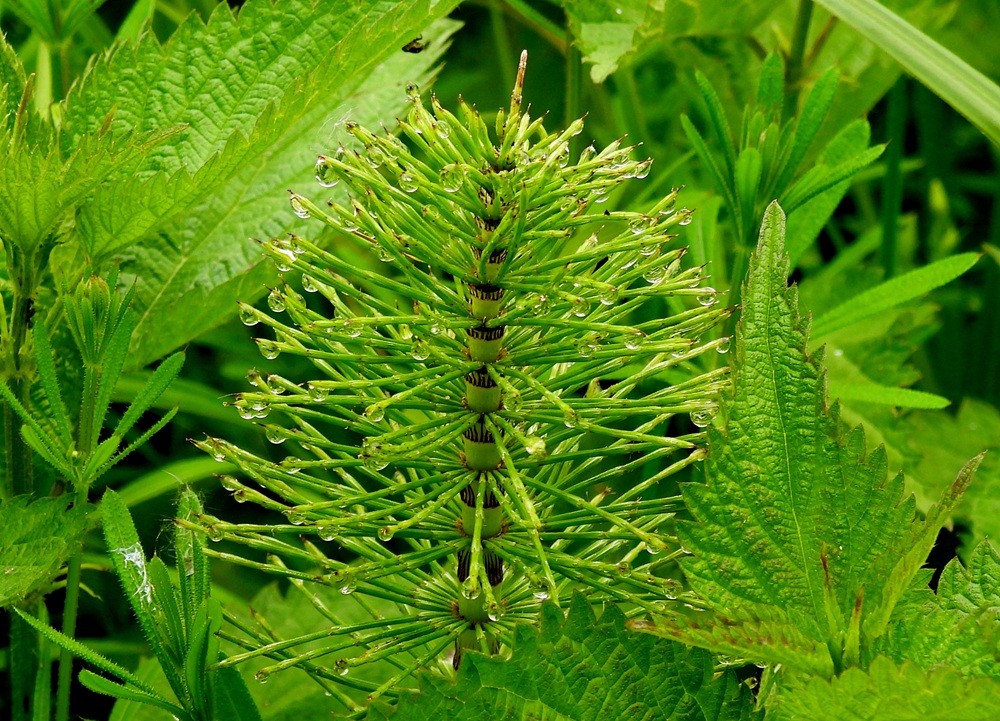 Gerersdorf quer (15)