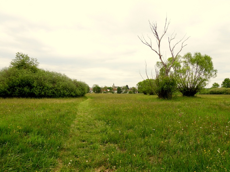 Gerersdorf quer (18)