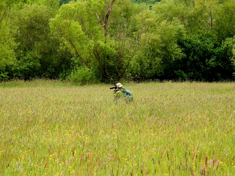 Gerersdorf quer (19)