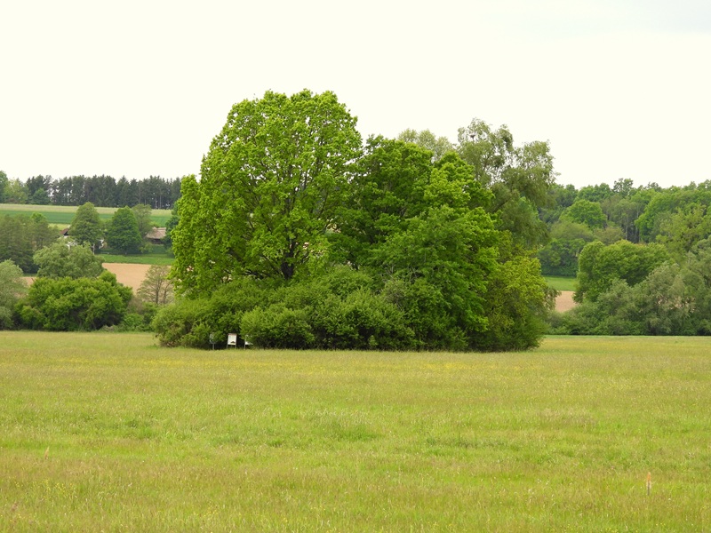 Gerersdorf quer (21)