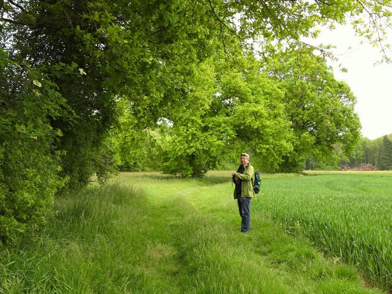 Gerersdorf quer (22)