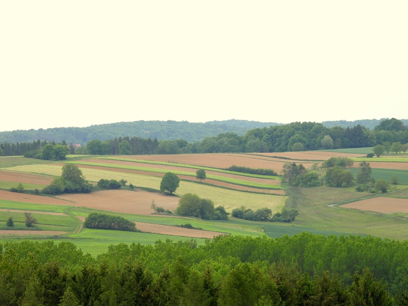 Gerersdorf quer (24)