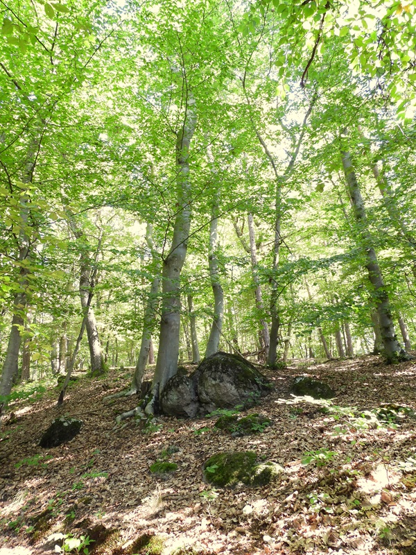 Gleichenberg hoch (8)