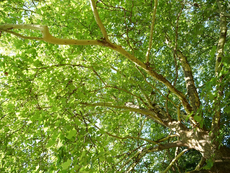 Gleichenberg quer (1)