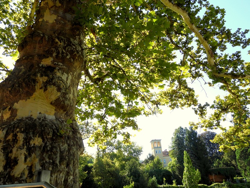 Gleichenberg quer (16)