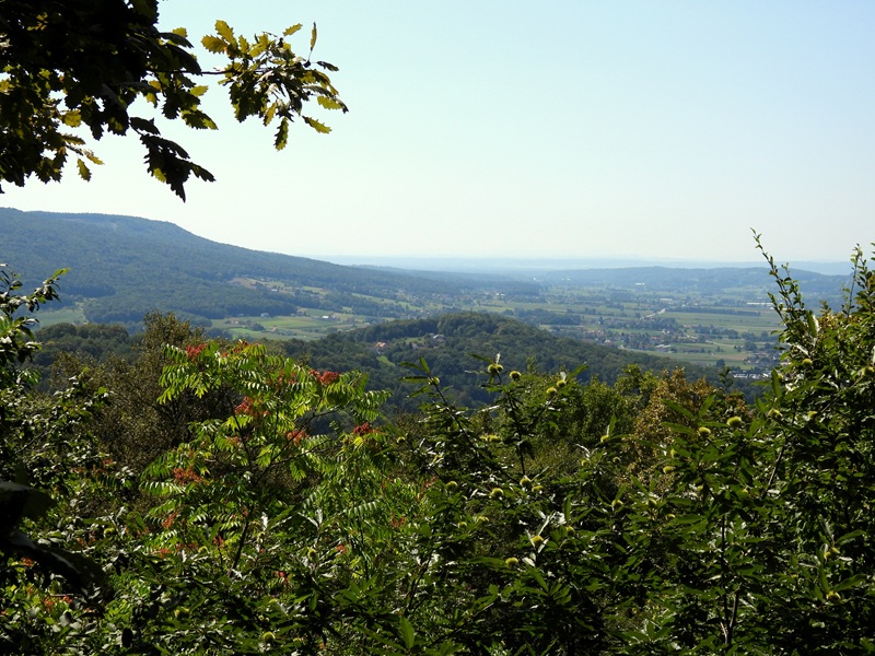 Gleichenberg quer (18)