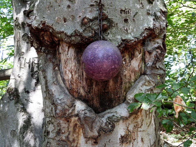 Gleichenberg quer (20)