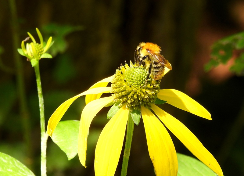 Gleichenberg quer (21)