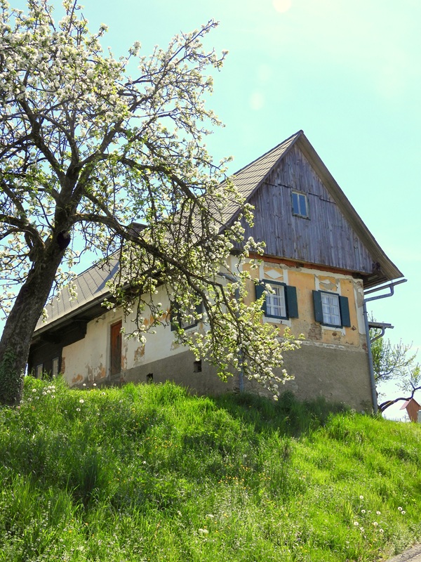 Gleinstätten hoch (1)