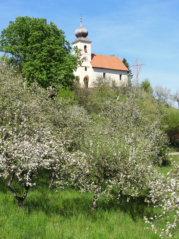 Gleinstätten hoch (2)