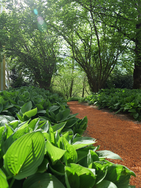 Gleinstätten hoch (4)