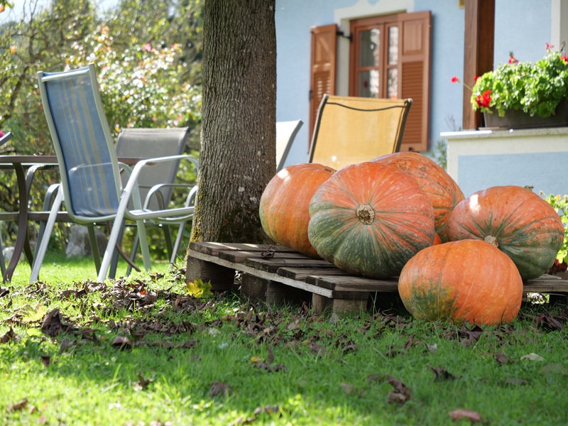 Großklein quer (13)