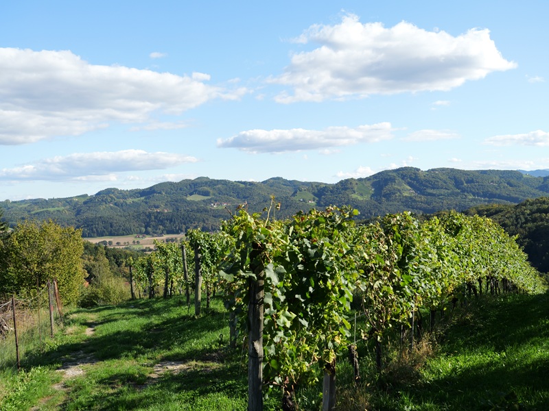 Großklein quer (22)