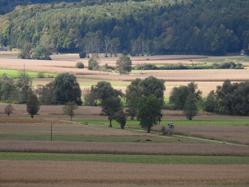 Großklein quer (25)