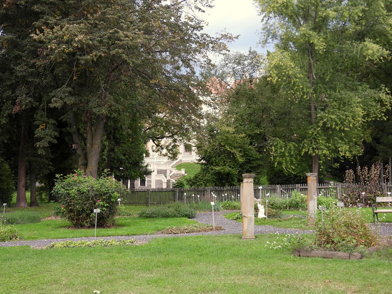 Halbenrain quer (11)